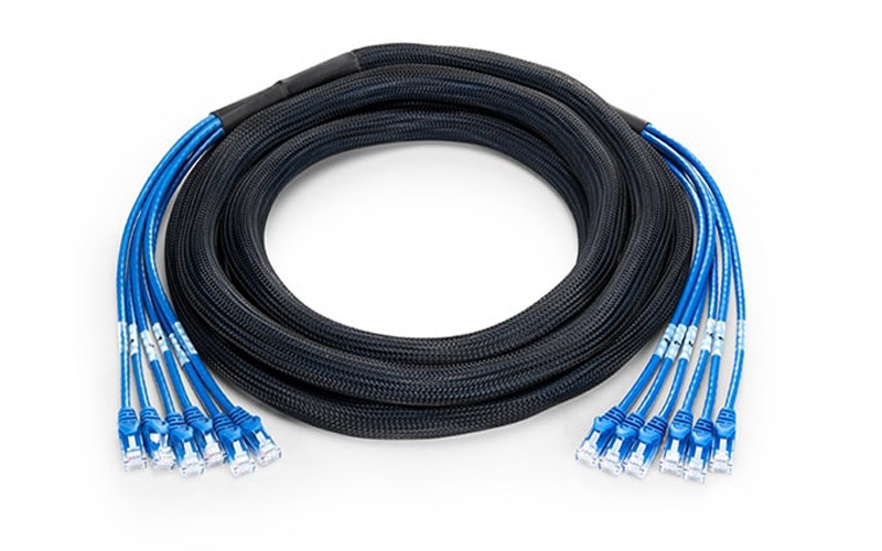 6 Plug to 6 Plug Cat6 Unshielded (UTP) PVC CMR Blue Pre-Terminated Copper Trunk Cable