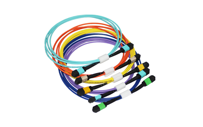 Customized Length MPO MTP Trunk Cable